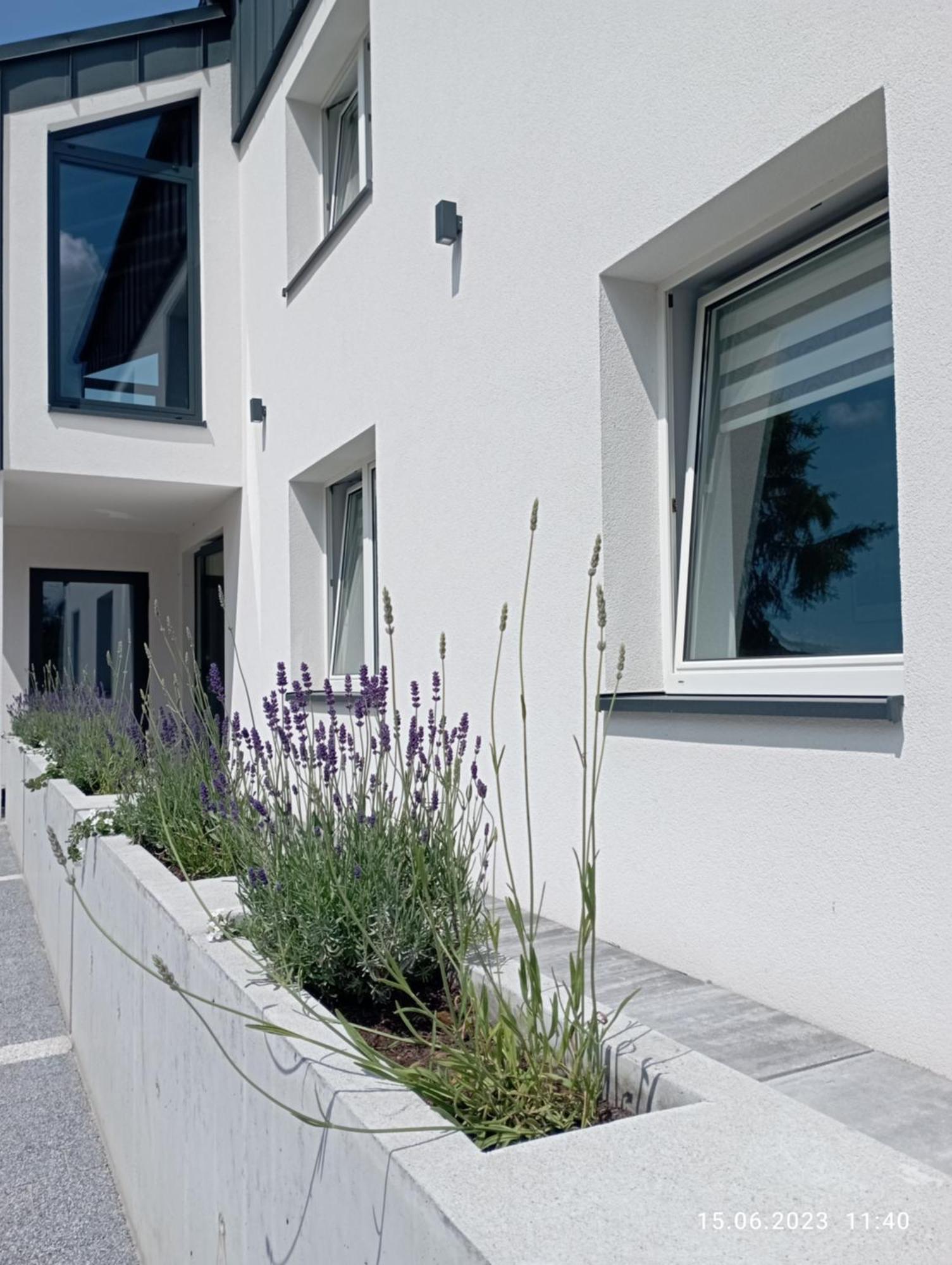 Studio 102 Bachowice Exterior foto